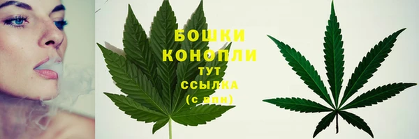 гидропоника Гусев