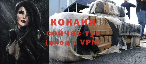 индика Киреевск